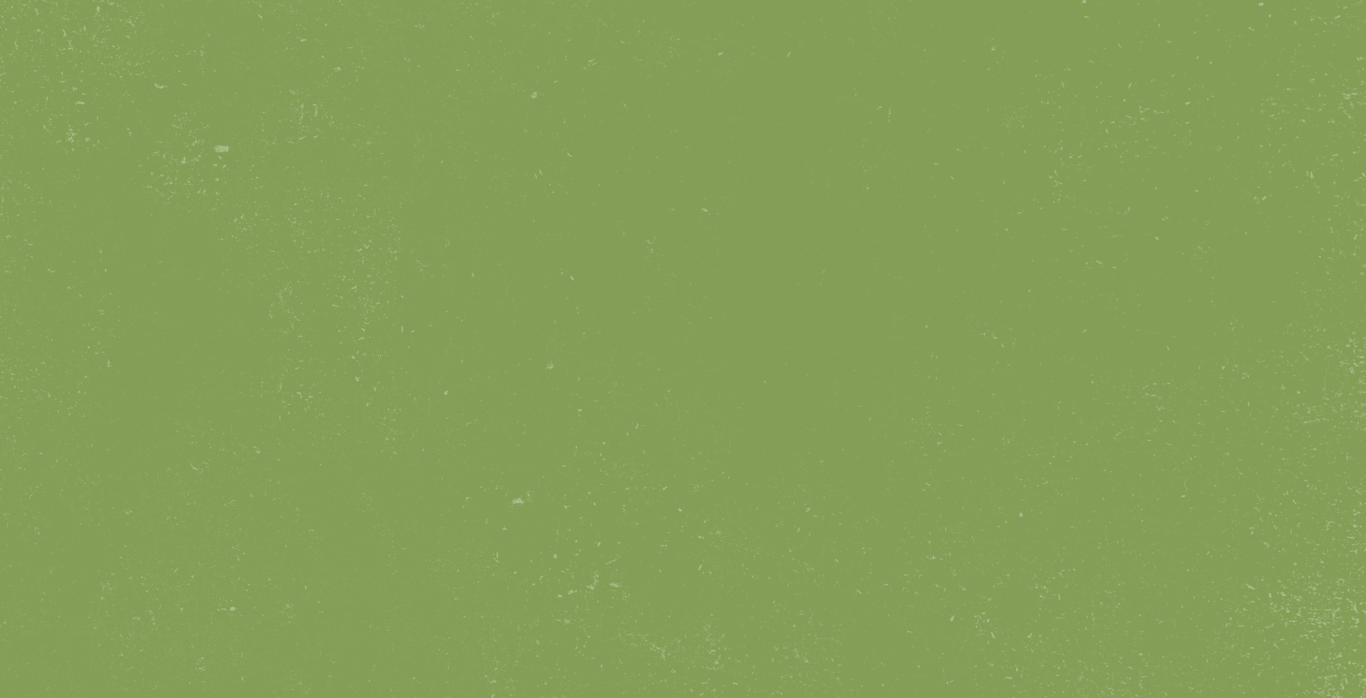 Rectangle 2 copy 250