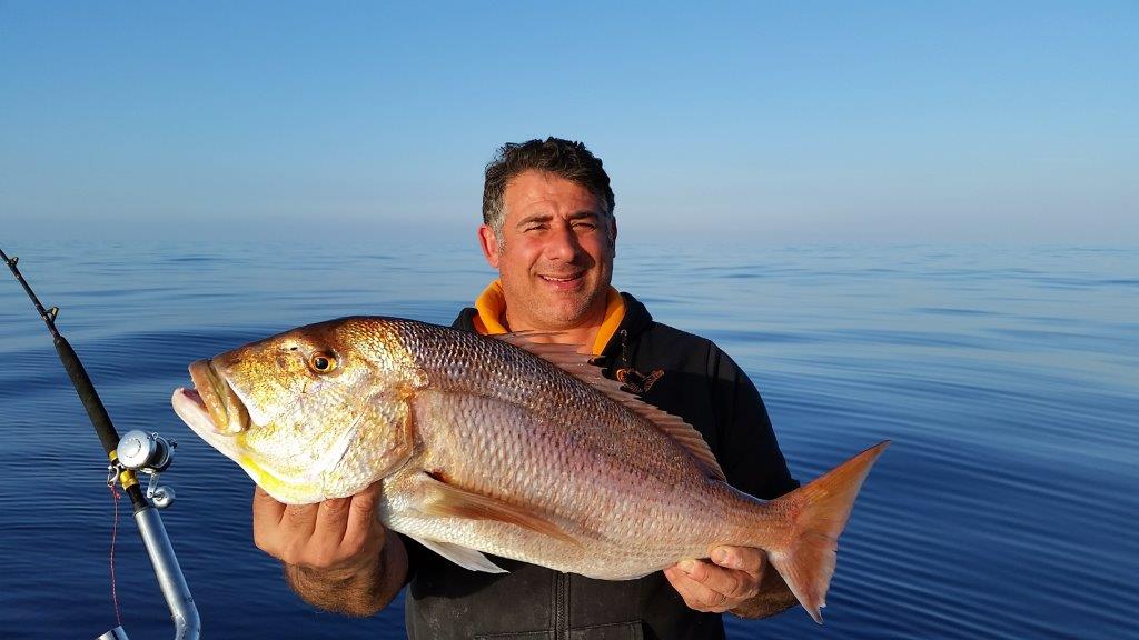 Mister Fish fishing tackle franchise Malta