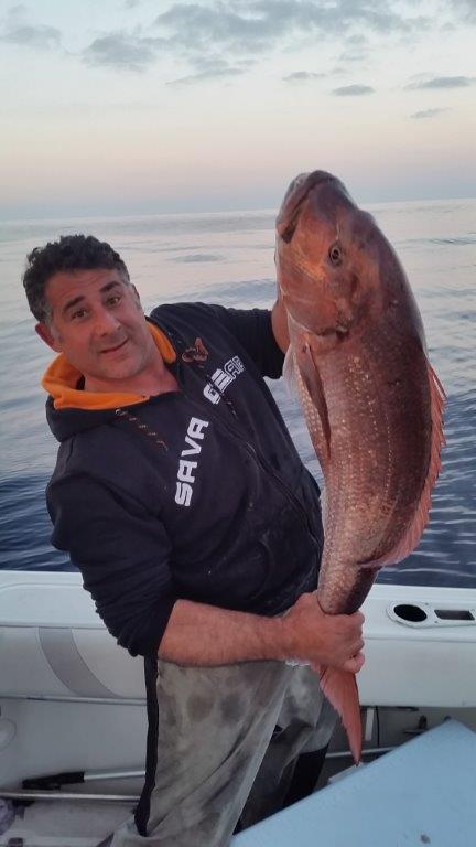 Mister Fish Josef Camilleri 