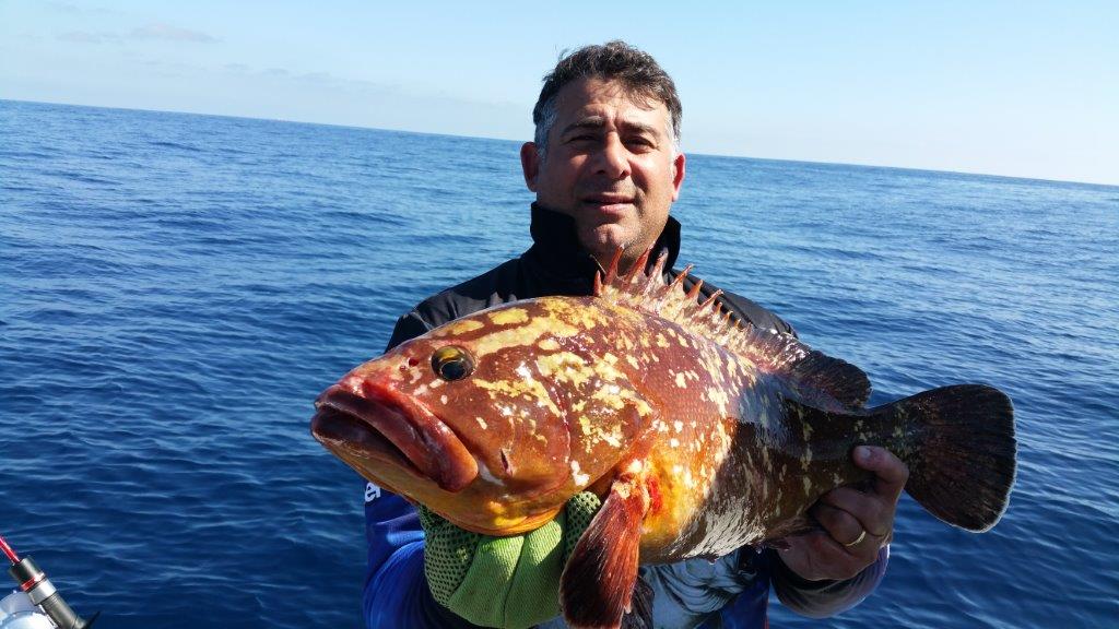 Mister Fish Josef Camilleri 