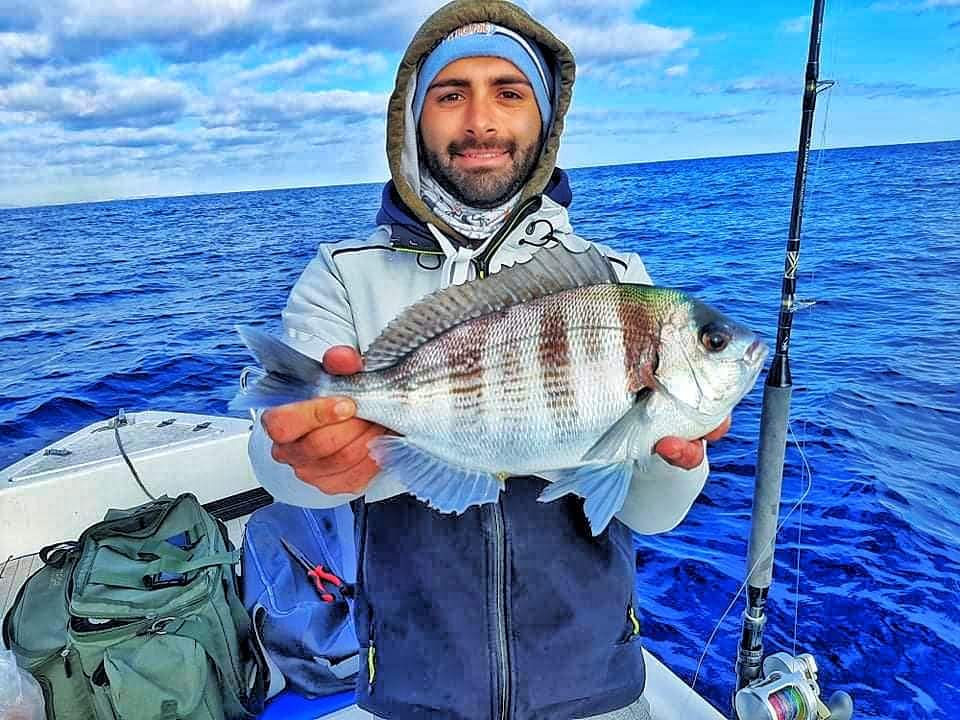 Friends of Mister Fish