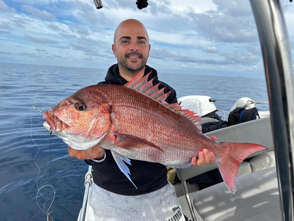 Friends of Mister Fish