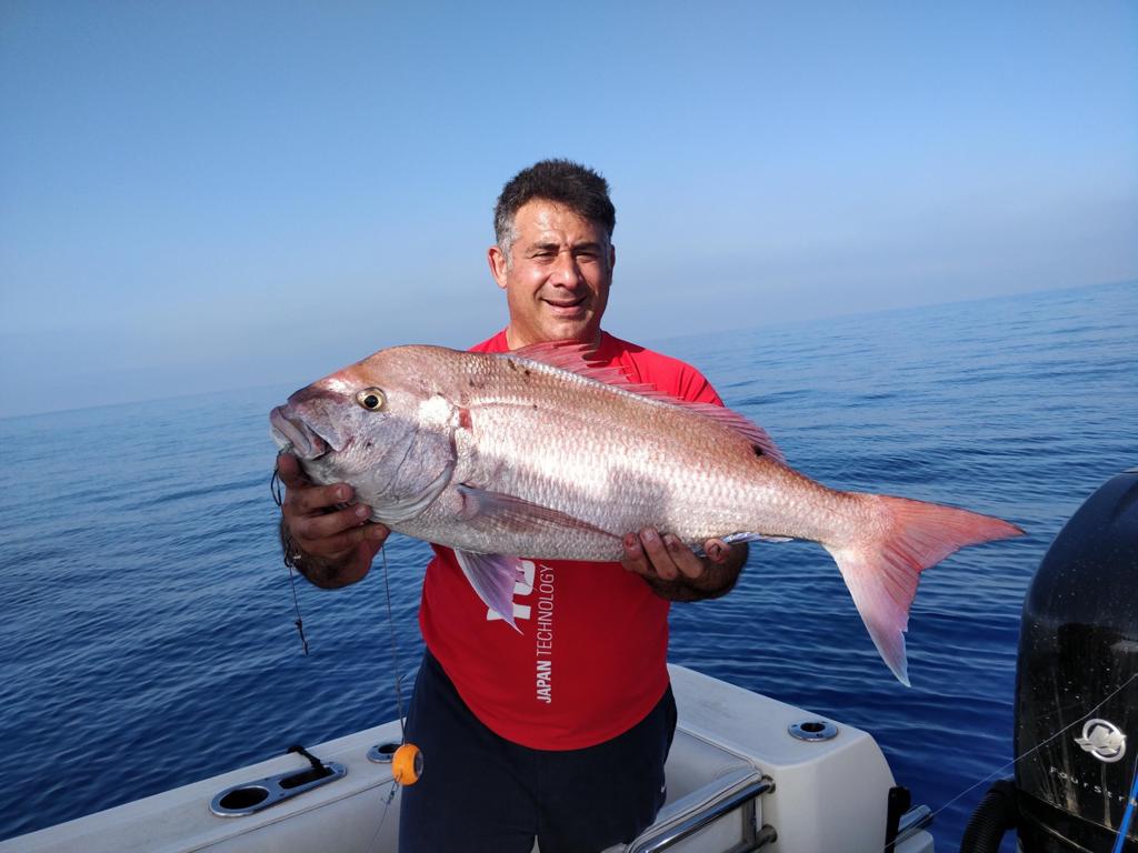 Friends of Mister Fish