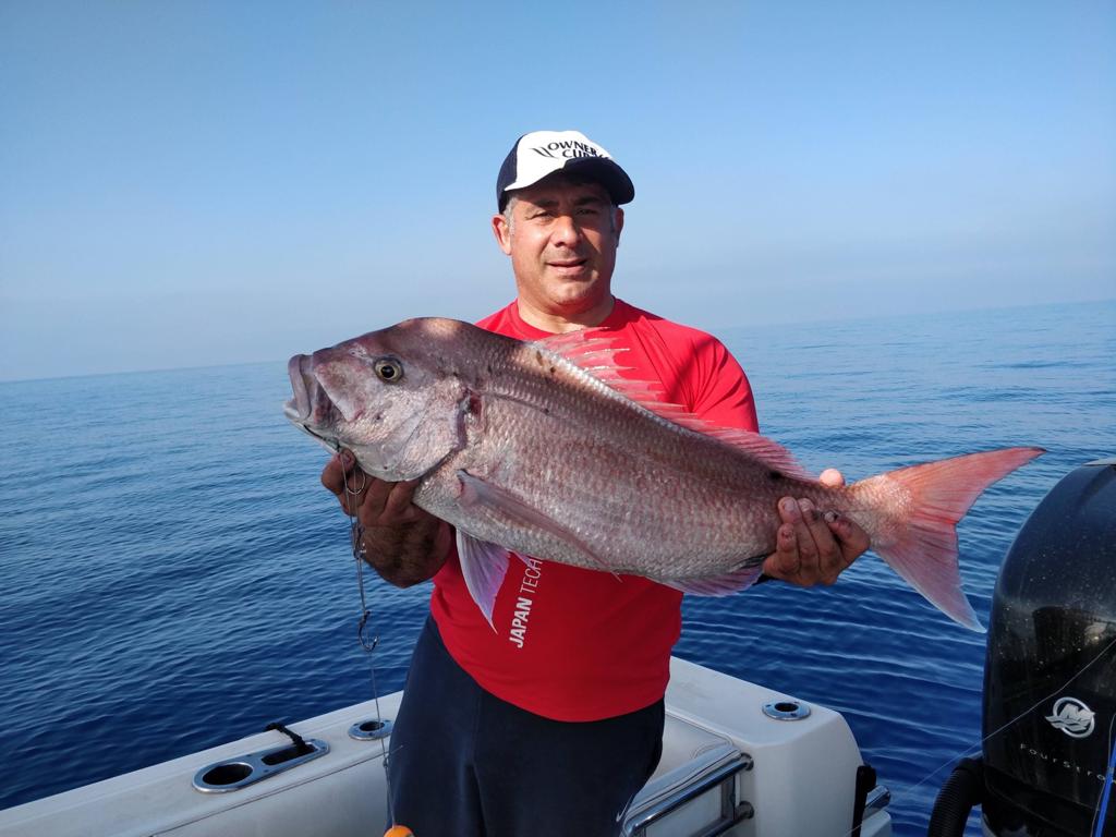 Friends of Mister Fish