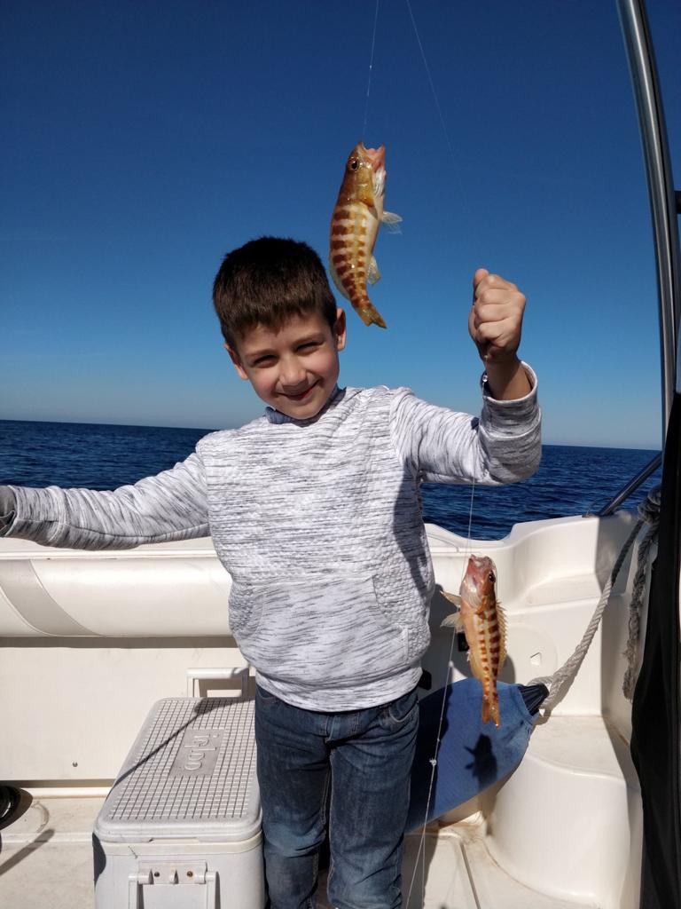 Friends of Mister Fish