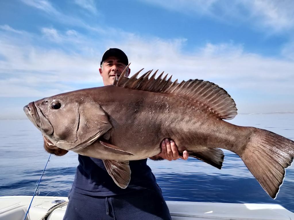 Mister Fish Joseph Camilleri fishing tackle franchise