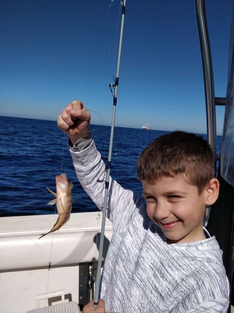 Friends of Mister Fish