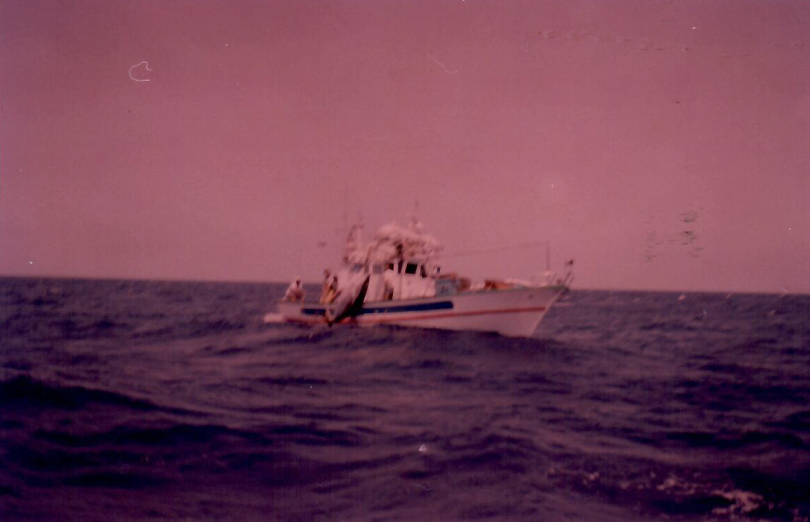 Mister Fish history fishing trawler used to assist in the monster tuna catch