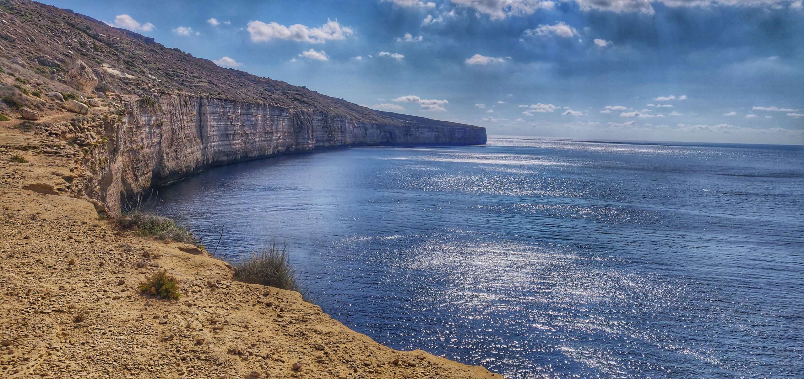 Mister Fish team in action