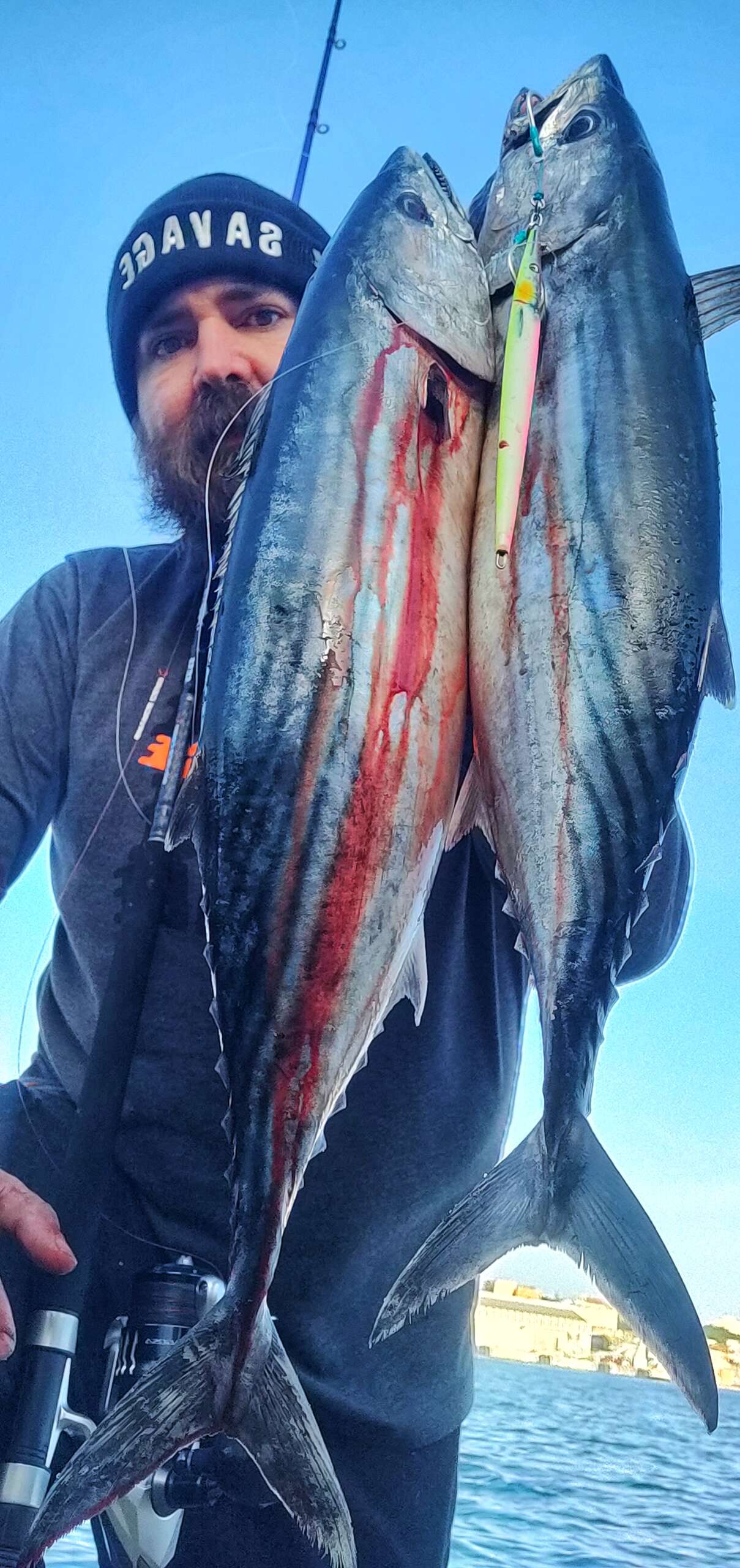 Mister Fish team in action