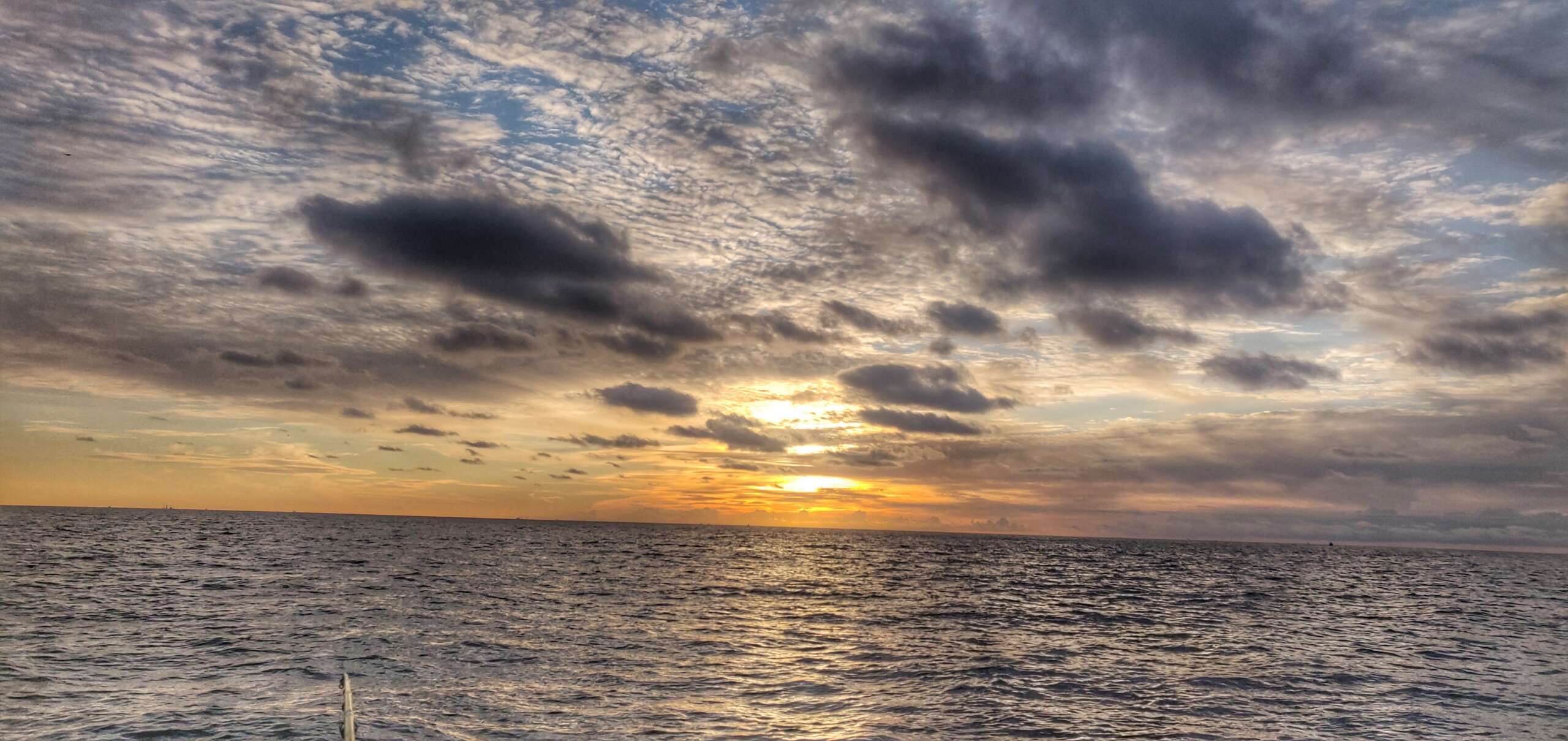 Mister Fish team in action Malta