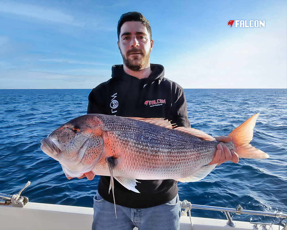 Image sent to us by Scorziello Sasa. Visit Mister Fish in Iklin, Gzira and Fgura for all the fishing tackle you need.