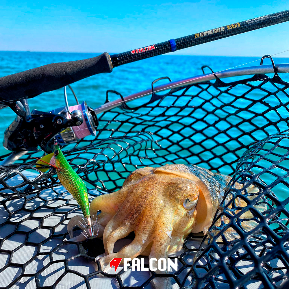 Image sent to us by Scorziello Sasa. Visit Mister Fish in Iklin, Gzira and Fgura for all the fishing tackle you need.