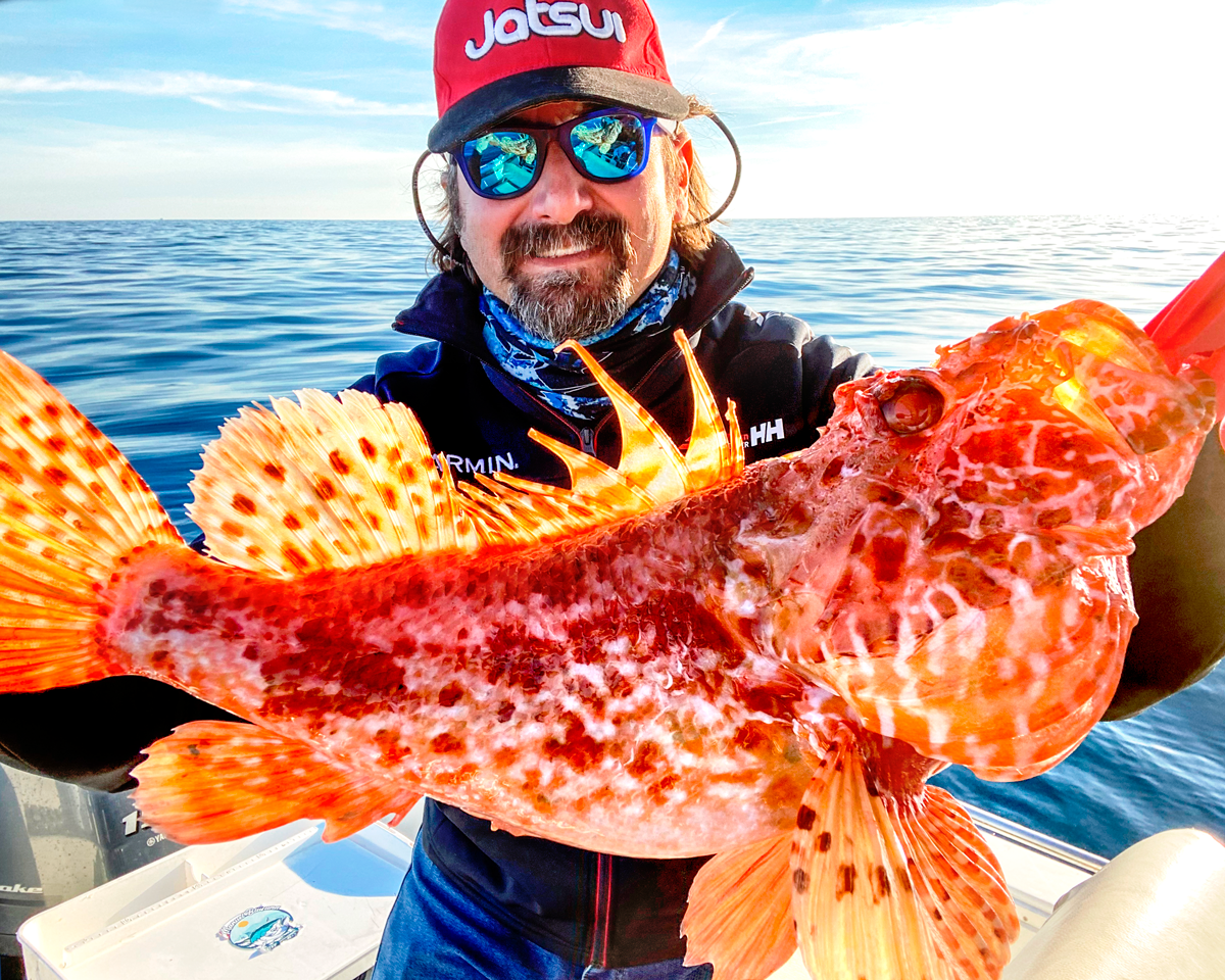 Image sent to us by Scorziello Sasa. Visit Mister Fish in Iklin, Gzira and Fgura for all the fishing tackle you need.