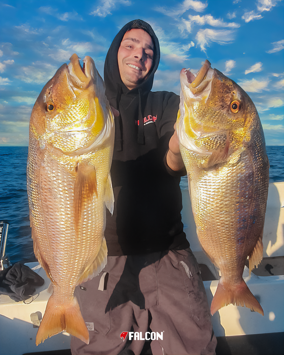 Image sent to us by Scorziello Sasa. Visit Mister Fish in Iklin, Gzira and Fgura for all the fishing tackle you need.