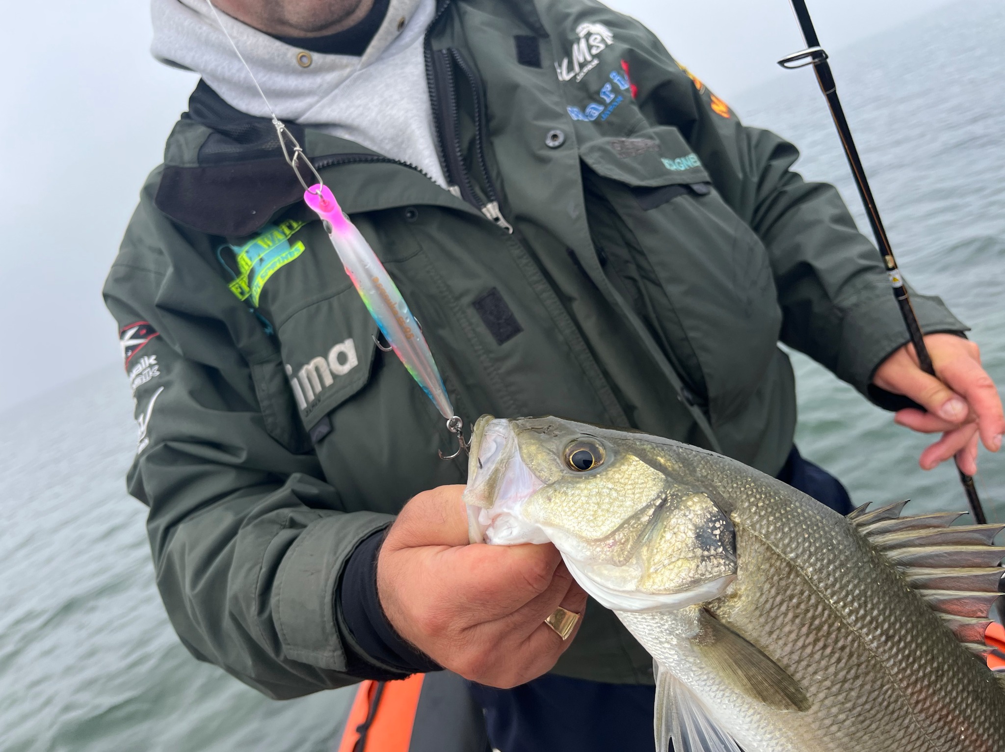 Image sent to us by Blue Springs. Visit Mister Fish in Iklin, Gzira and Fgura for all the fishing tackle you need.