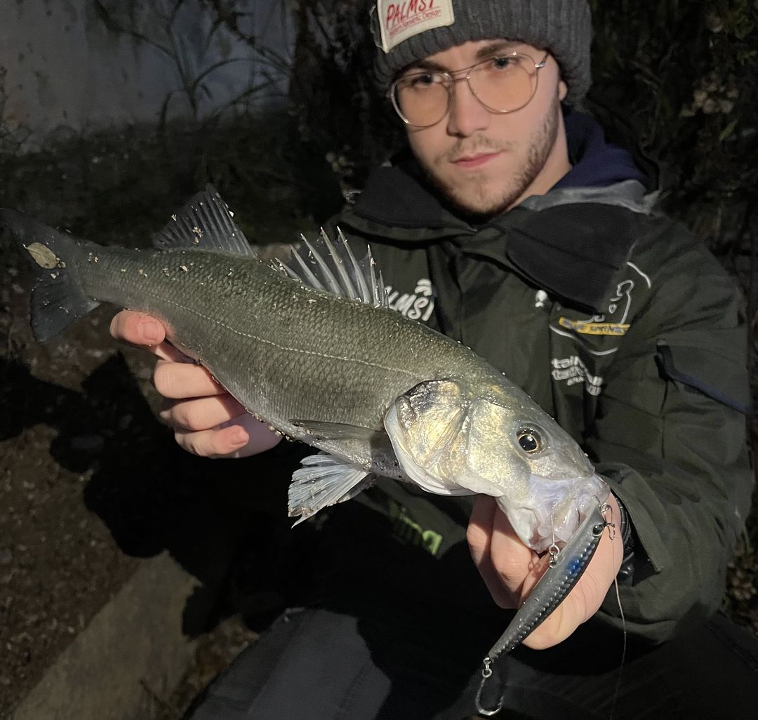 Image sent to us by Blue Springs. Visit Mister Fish in Iklin, Gzira and Fgura for all the fishing tackle you need.