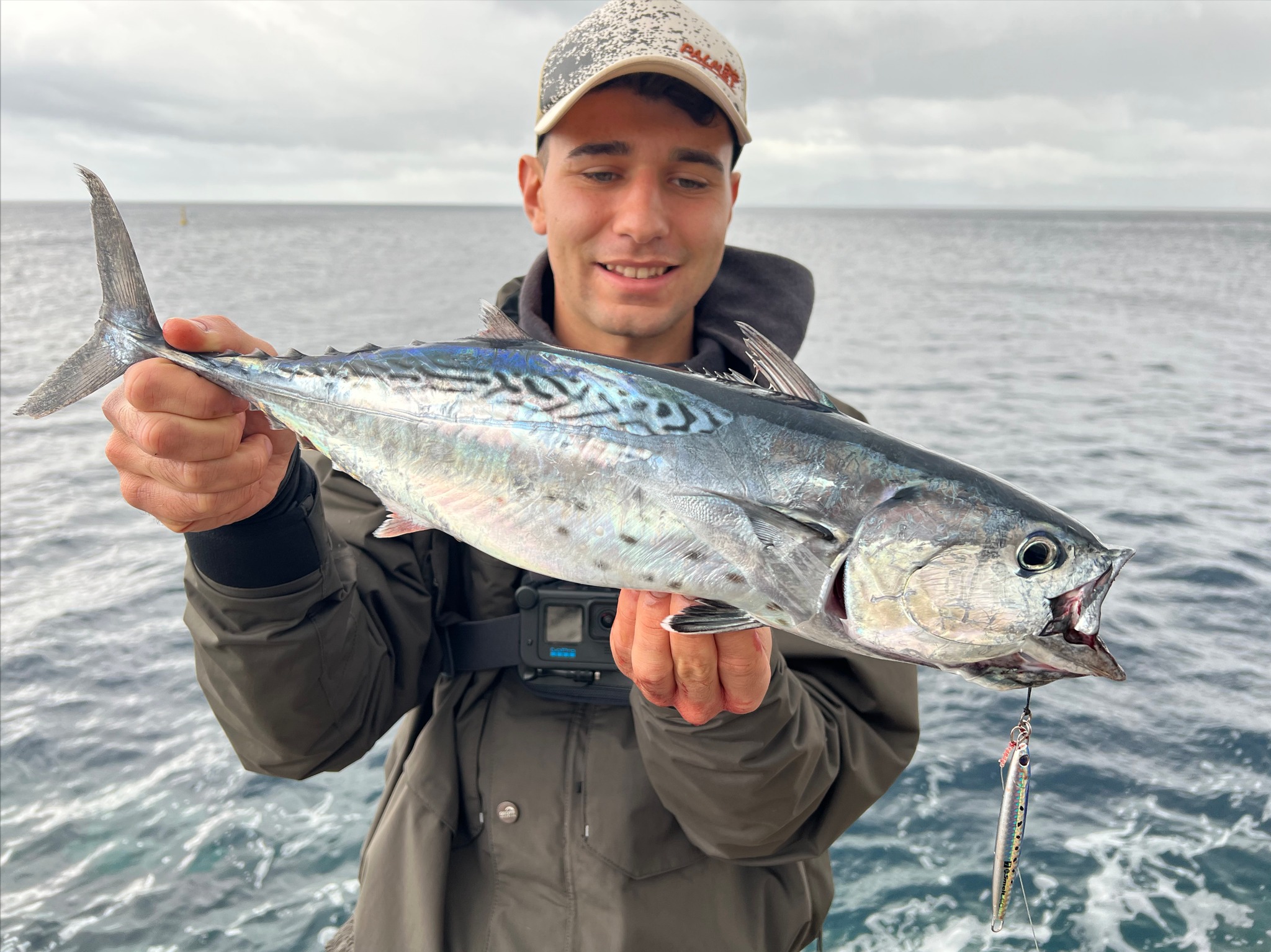 Image sent to us by Blue Springs. Visit Mister Fish in Iklin, Gzira and Fgura for all the fishing tackle you need.