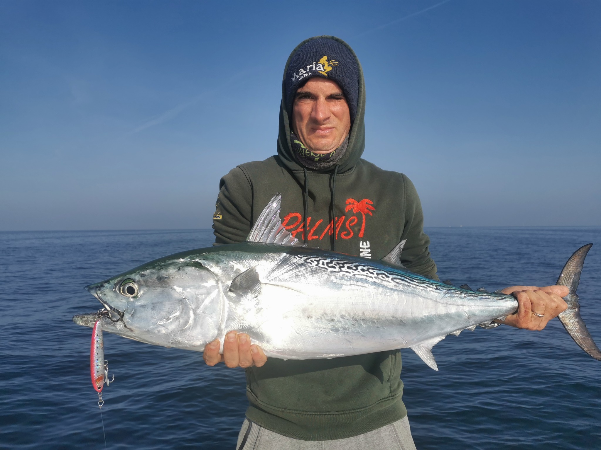 Image sent to us by Blue Springs. Visit Mister Fish in Iklin, Gzira and Fgura for all the fishing tackle you need.